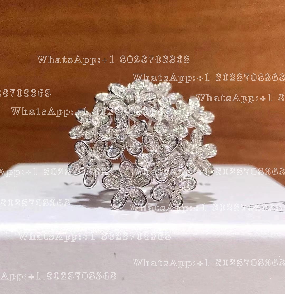 Van Cleef & Arpels Socrate Bouquet Ring Diamond White Gold