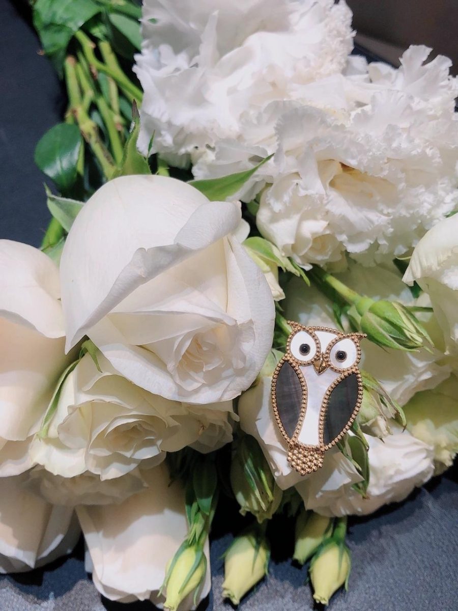 Van Cleef & Arpels Lucky Animals Owl clip Yellow gold, Mother-of-pearl, Onyx VCARP2AV00