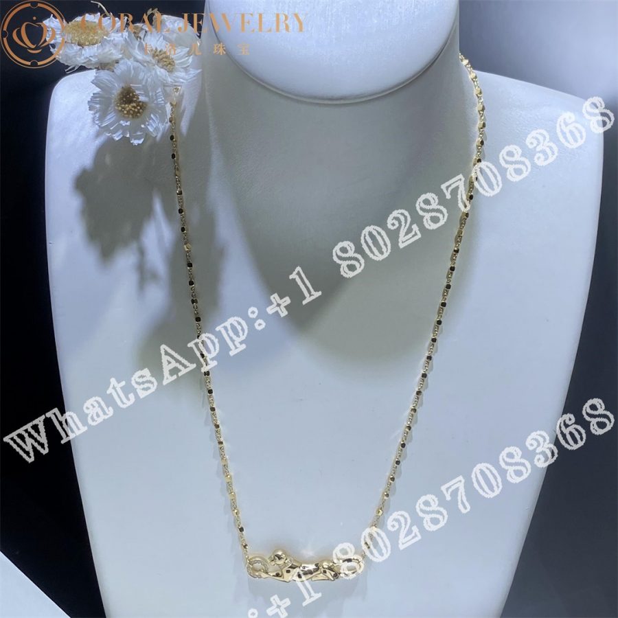 Cartier Panthere De Cartier Necklace Yellow Golddiamonds Tsavorite Onyx B7224738 Coral (11)