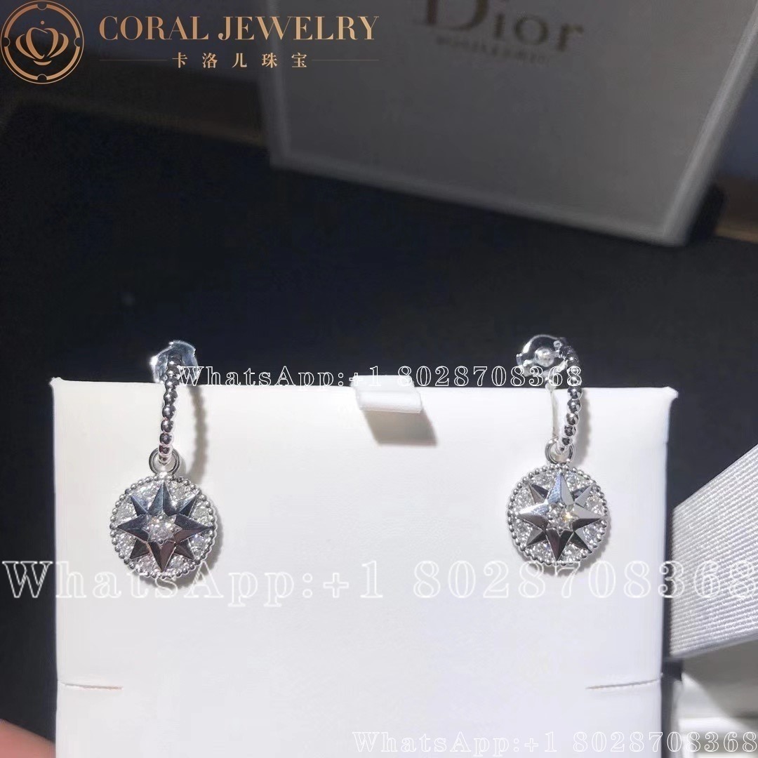 Dior 18k Diamond Rose De Vents Earrings Coral (1)