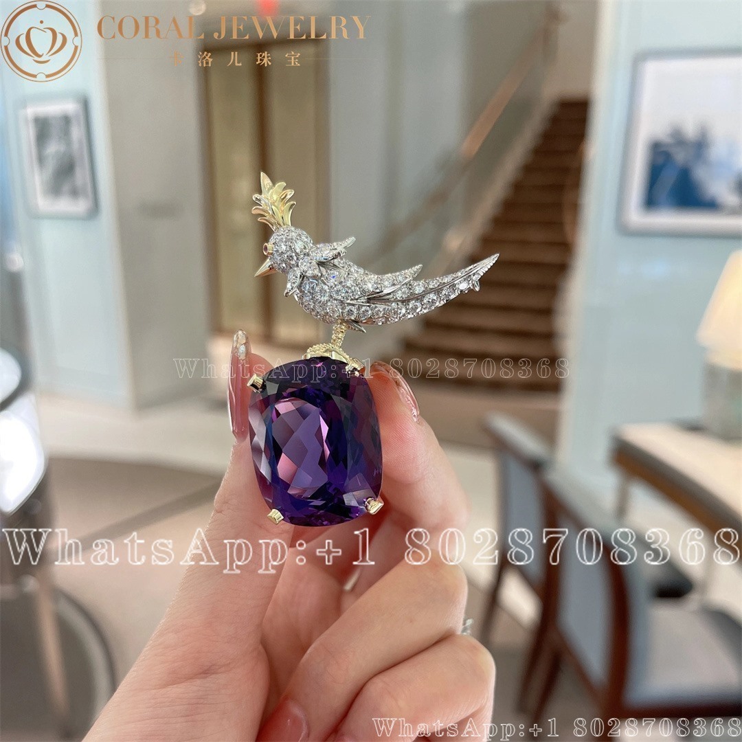 Tiffany Co Schlumberger Amethyst Diamond Gold Bird On A Rock Brooch Coral (1)